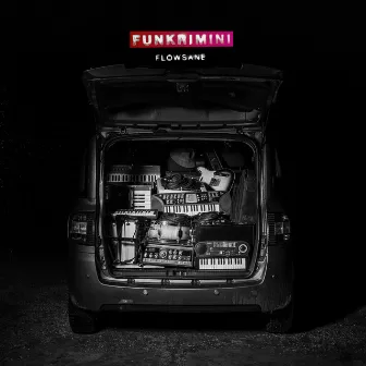 Flowsane by Funk Rimini