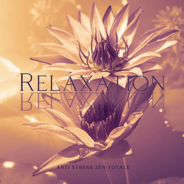 Relaxation anti stress zen totale: Méditation apaisante, Soulagement de l'anxiété, Conseils spirituels pour trouver la vérité et le but