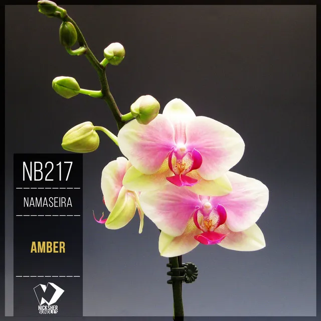 Amber - Original Mix