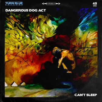 Can't Sleep by Dangerous Dog Act