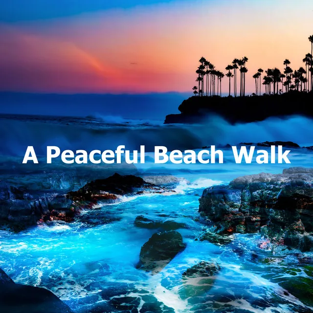 A Peaceful Beach Walk