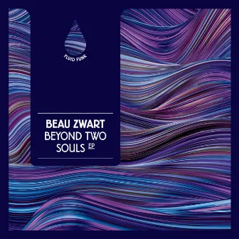 Beyond Two Souls EP by Beau Zwart