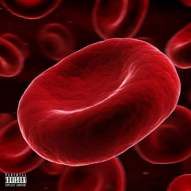 Blood Cells