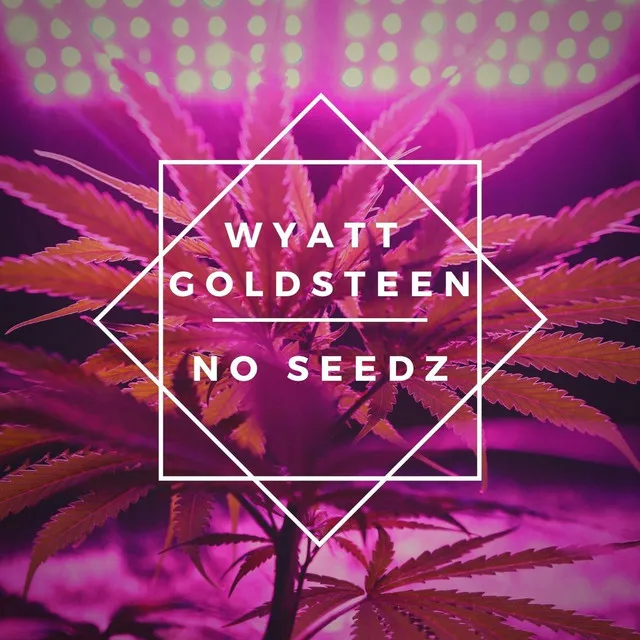 No Seedz