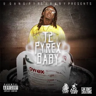 Pyrex Baby by T2