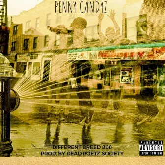 Penny Candyz by Different Breed 860