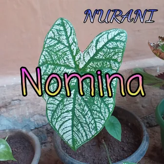 Nomina by Nurani