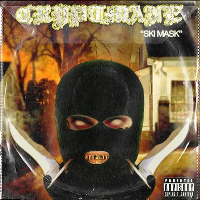 Ski Mask