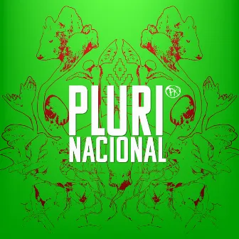 Plurinacional by Puel Kona