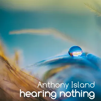 Hearing nothing by Anthony Island