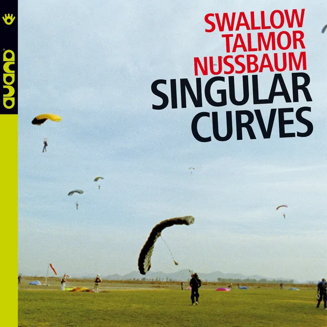 Singular Curves