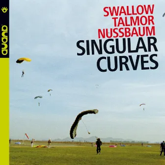 Singular Curves by Ohad Talmor