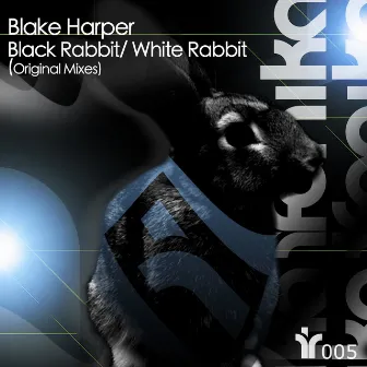 Black Rabbit / White Rabbit by Blake Harper