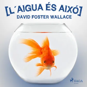 L´aigua és aixó by David Foster Wallace