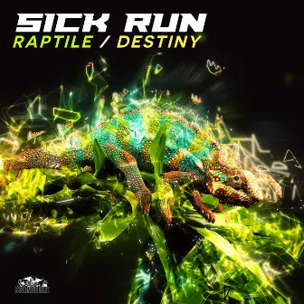 Raptile / Destiny by Sick Run