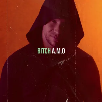 Bitch by A.M.O