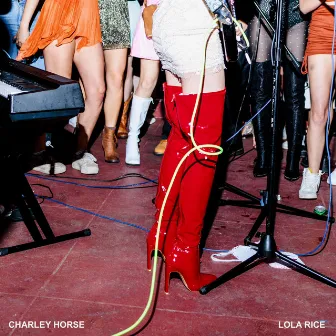 Charley Horse by Lola Rice