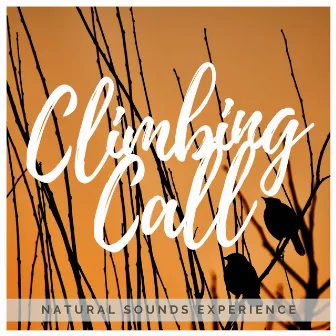 Climbing Call by Natural Sounds Experience