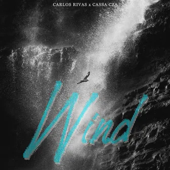 Wind by Carlos Rivas