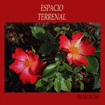 Espacio Terrenal by Puesta De Sol