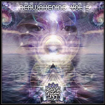 Reawakening, Vol. 5 by DJ Face