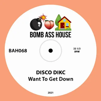 Want To Get Down by Disco Dikc