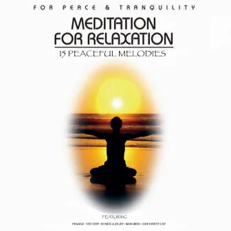 Meditation for Relaxation by The Moonlight Orchestra