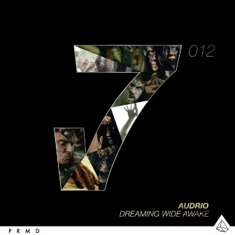 Dreaming Wide Awake by Audrio