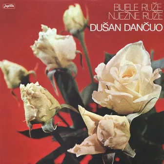 Bijele Ruže, Nježne Ruže by Dusan Dancuo