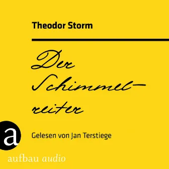 Der Schimmelreiter (Ungekürzt) by Theodor Storm