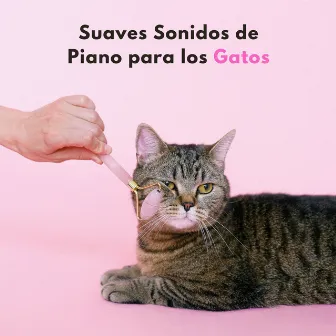 Suaves Sonidos De Piano Para Los Gatos by 