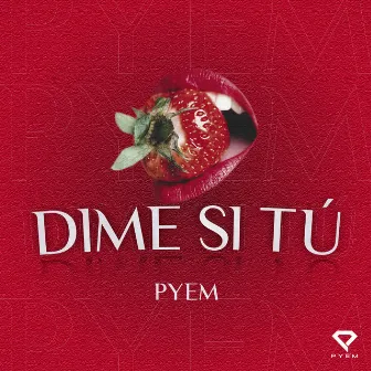 Dime Si Tu by 