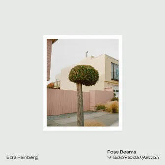 Pose Beams (Gold Panda Remix) by Ezra Feinberg