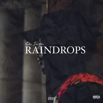 RAINDROPS by Dre Fridge