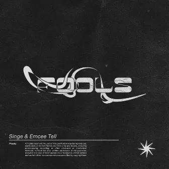 Fools by Singe