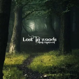 Lost in Woods by Nikhil Chaturvedi