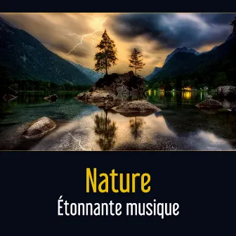 Nature (Étonnante musique - Relaxation en écoutant différent sons de la nature) by Zone de Sons Naturels