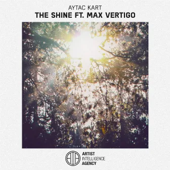 The Shine - Single by Aytac Kart