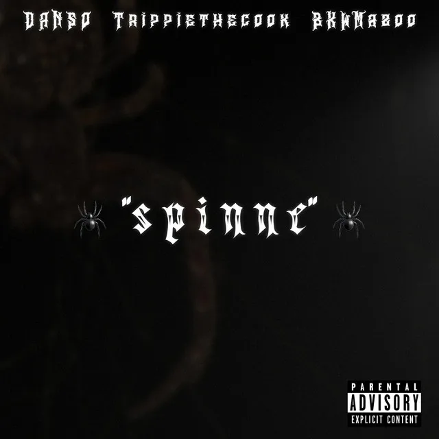 Spinne