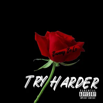 Try Harder by Bunny BoLo