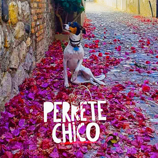 Perrete chico