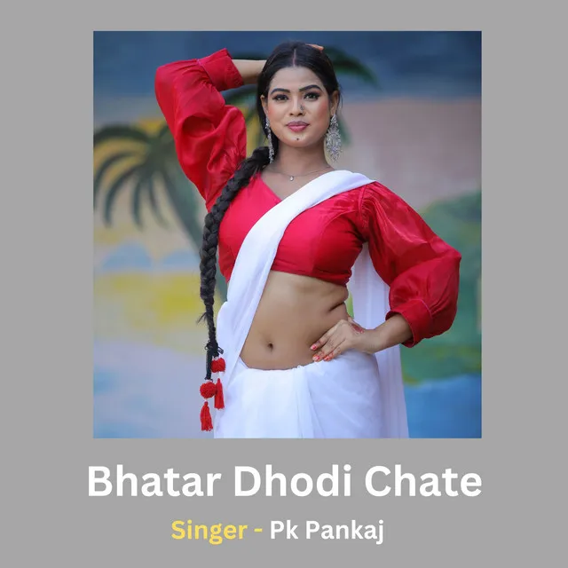 Bhatar Dhodi Chate