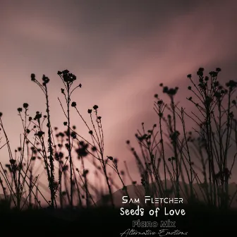 Seeds of Love (Piano Mix) by Sam Fletcher