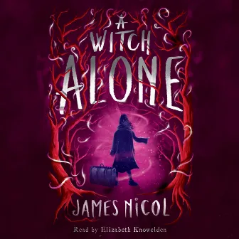 A Witch Alone [The Apprentice Witch, Book 2 (Unabridged)] by James Nicol