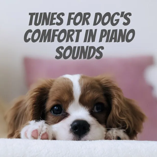 Dogs music