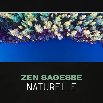 Zen sagesse naturelle – Soyez ouvert à la méditation, Répétez les mantras, Sois patient, Sons inspirants de la nature by Zone de Sons Naturels