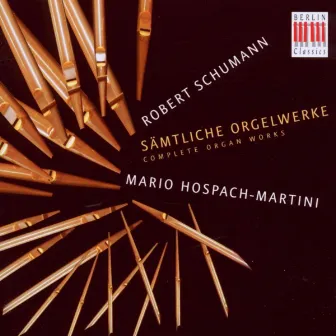 Schumann: Organ Works by Mario Hospach-Martini