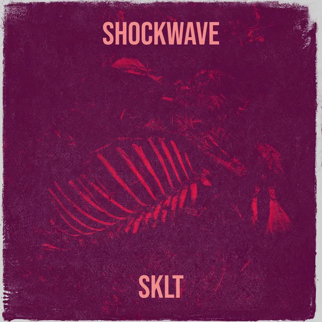 Shockwave