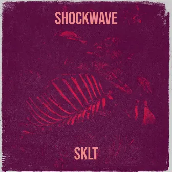 Shockwave by sklt