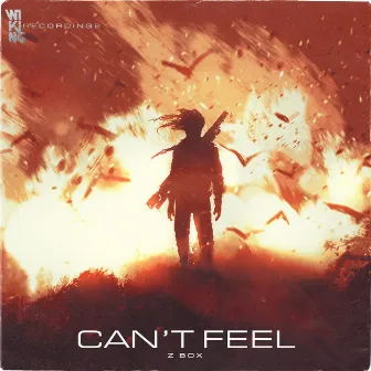 Can't Feel by Z Box